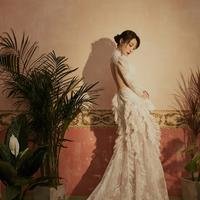 芦苇芦苇