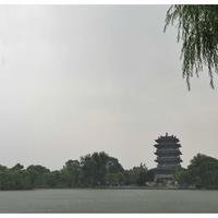 wangg
