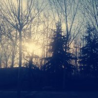 桃花依旧笑春风805