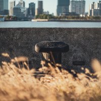 Mirko黄大伟