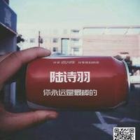 摄影师155999309733695