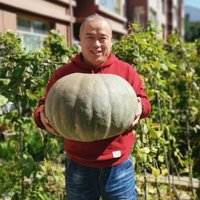 小闫小闫