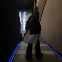 福星崽崽
