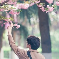 奶茶无糖多冰