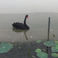 人间百态人间烟火