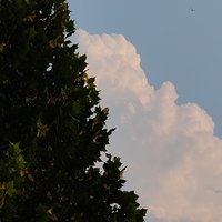 橙子xxy