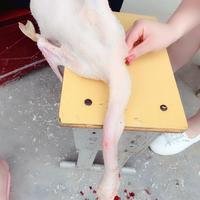摄影师156033816305402