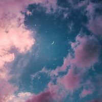 板蓝根泡柚子