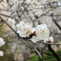 语欣发现美
