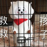 鑫鑫鑫百分可爱崽
