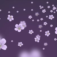 星月夜鸟虫鸣