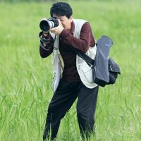 古风松影