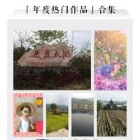 摄影师156128687637280