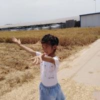 用户名那些年的时光