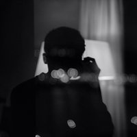 Noahs_Dove