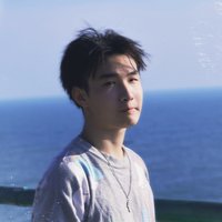 胖胖龙鸭