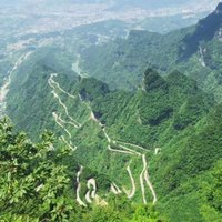 心动捕手