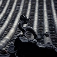 维雨升
