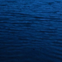 浮生半日flot