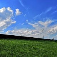 大鱼只为青年