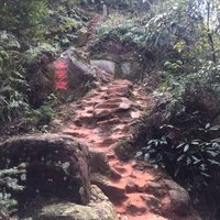 胡豆124