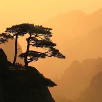 昨夜de酒