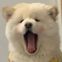 沈哥哥SG