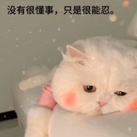 小任性w
