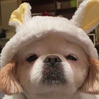 边大爷