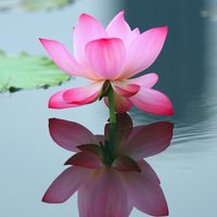 都付笑谈中