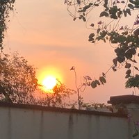 假假-