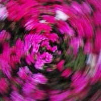 嬉墨