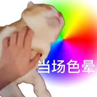 哈尔斯的摄影师
