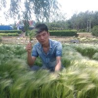 摄影师156250234755557