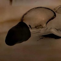 沿途风景1一一魏庆