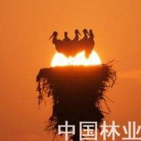 胡友文