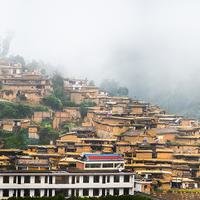垄上阳光8