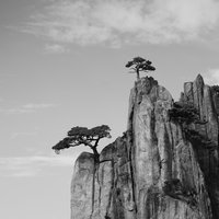 阿木阿不