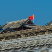 光明的影子