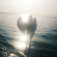 小熊人儿