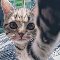 是彤小姐吖