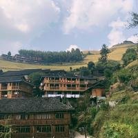 VirginiaWang