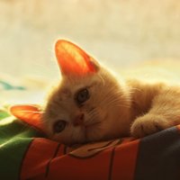 欣昀之间