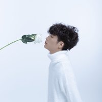 仙草柠檬昂