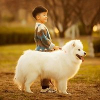 爱摄影的小狮子