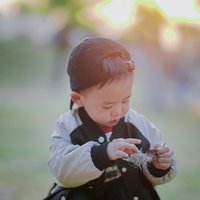 小禾絮果