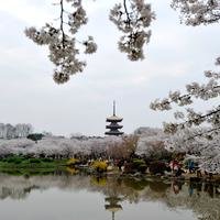 大山有路