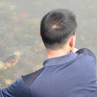 自由驹