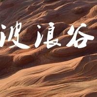 摄影师156389377448341