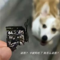 AAA今天拍照没带卡